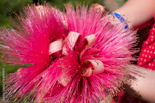 Shaving brush tree