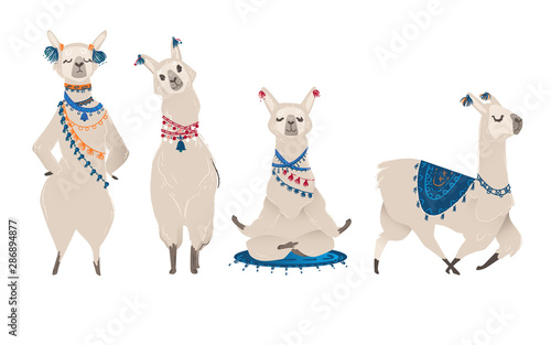 Llama or alpaca characters set for nursery design flat vector illustration isolated.
