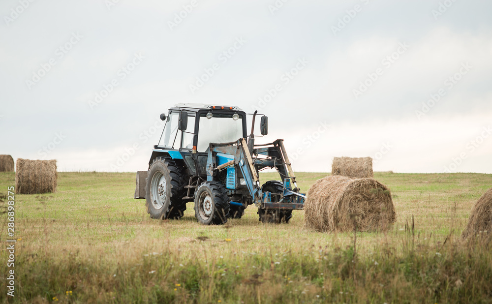 Obraz premium Tractor loading of bales of hay on a cargo trailer. harvesting in autumn. feed for animals. truck.