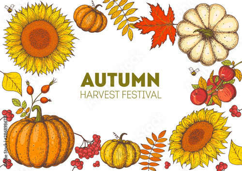 Harvest festival. Hand drawn frame with fall leaves, pumpkin and sunflower. Hello autumn design template. Vector illustration.
