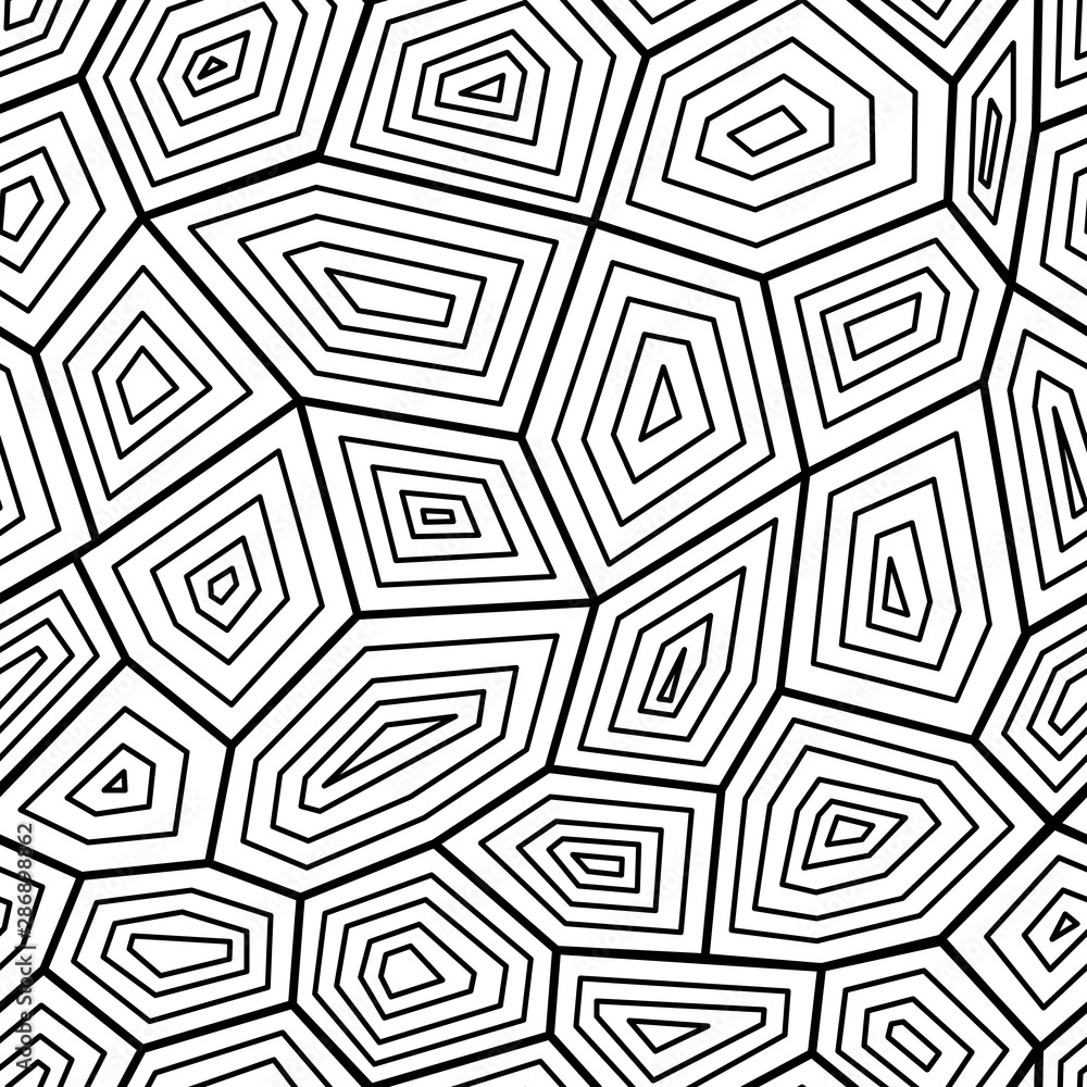 Black and white seamless pattern the texture of turtle shell, vector illustration.
