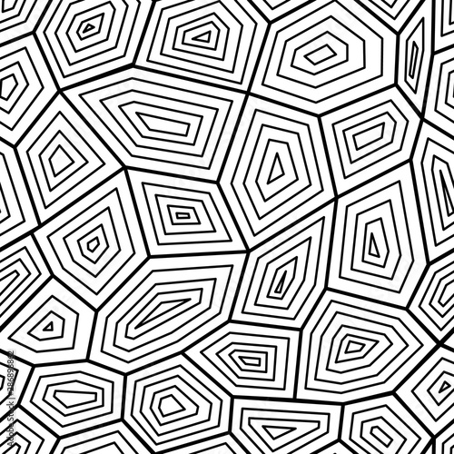 Black and white seamless pattern the texture of turtle shell, vector illustration.