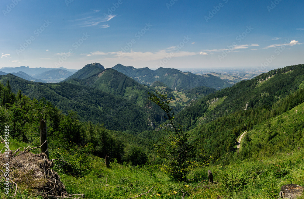 Obraz premium Hügellandschaft
