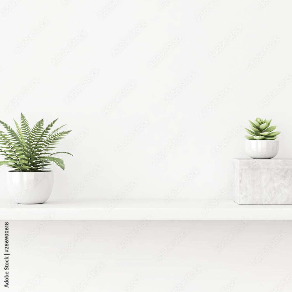 Interior wall mockup with green .plants in pots and box standing on the shelf on empty white background. 3D rendering, illustration.