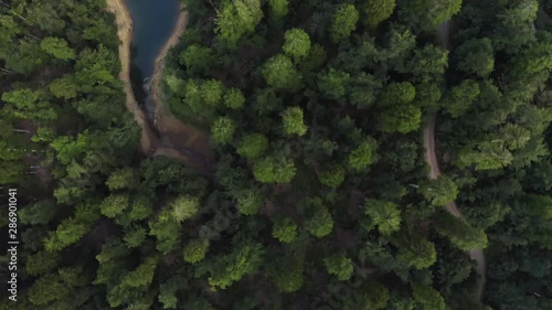 Aerial shot of a lake surrounded by pine forest. Drone shot flying over fir and deciduous trees toward the open lake. Nature background in 4K resolution.