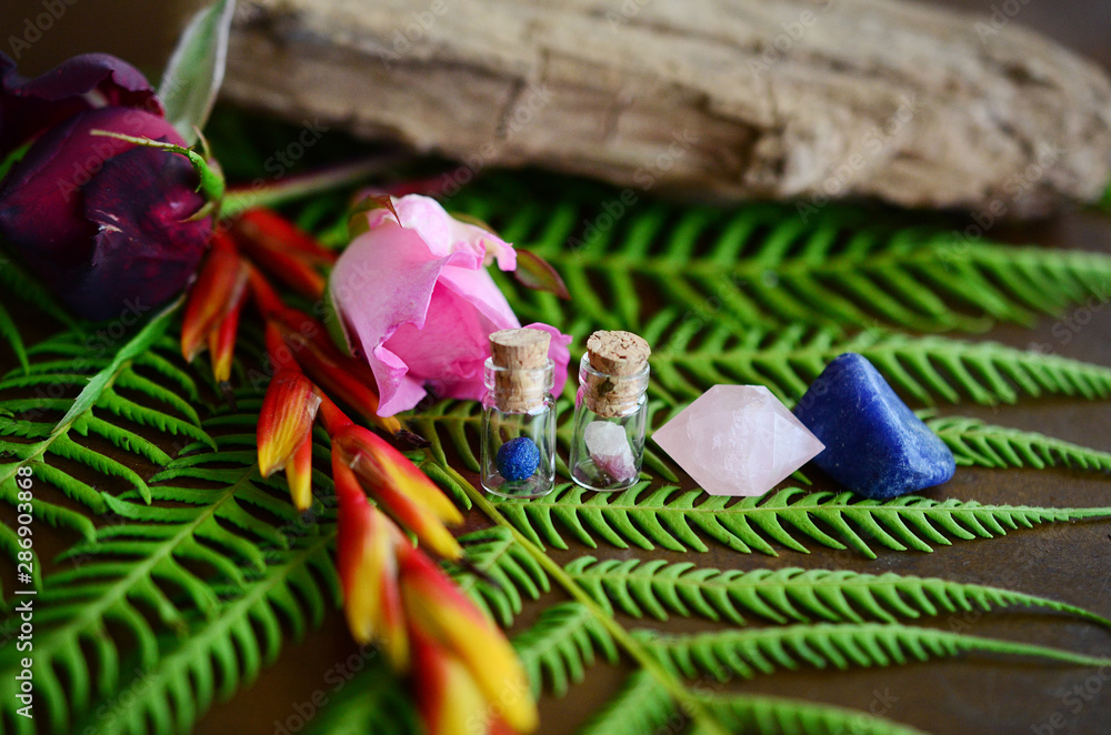 Fototapeta premium Miniature crystal vial apothecary set! Mini crystal bottles, Pink and Blue Combo! Azurite Berry, Pink Tourmaline, Rose Quartz, and Sodalite. Healing crystals on plants, wood table in natural lighting