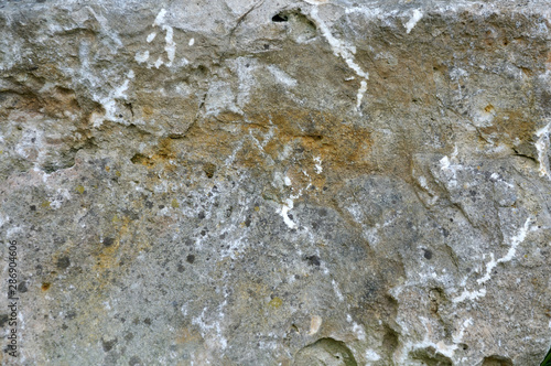 rough surface of a jurassic limestone rock