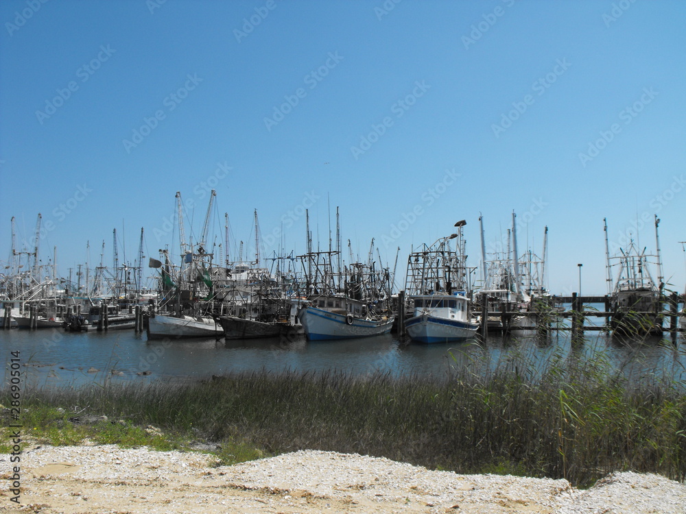 Fototapeta premium Harbor Shrimp Boats