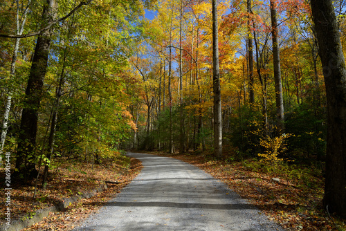 Autumn backroad in Great Smoky Mountains