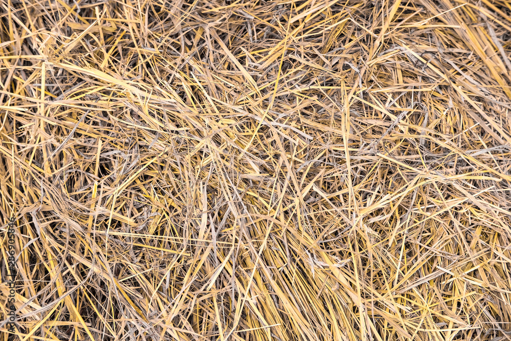 background with the image of dry grass