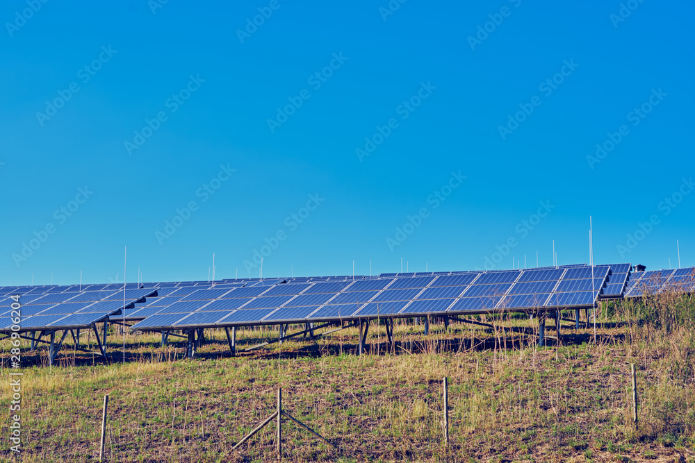 Solar panels through the trees in summer, energy production Solar panels through the trees in summer, energy production