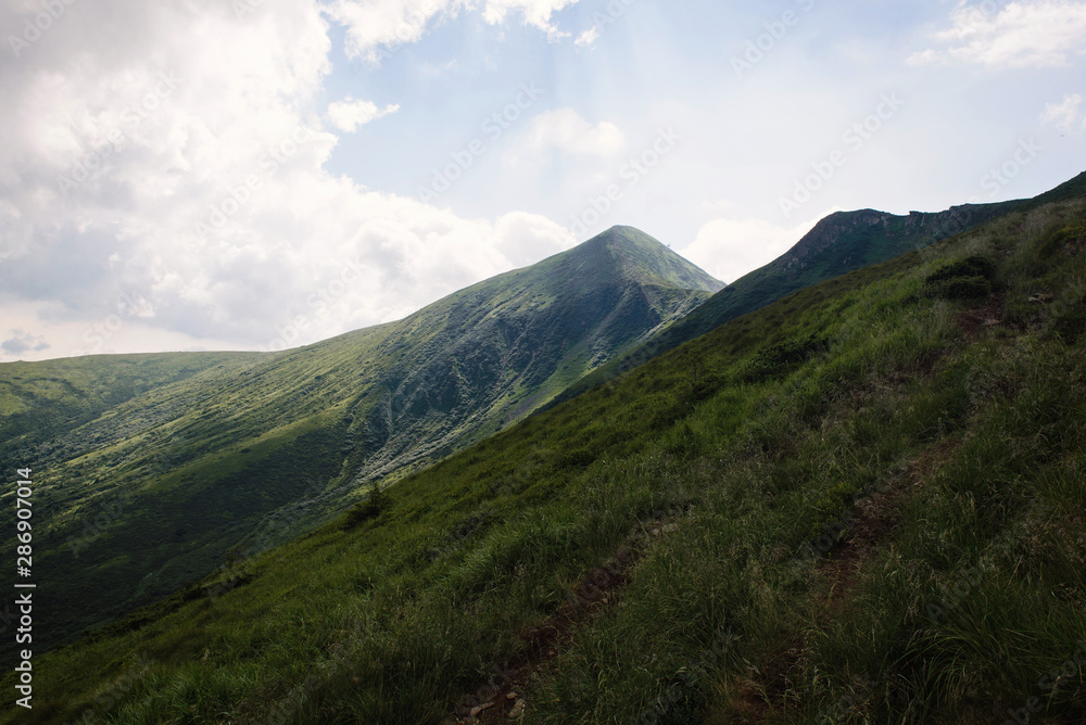 image of a mountain range, forest and lawns