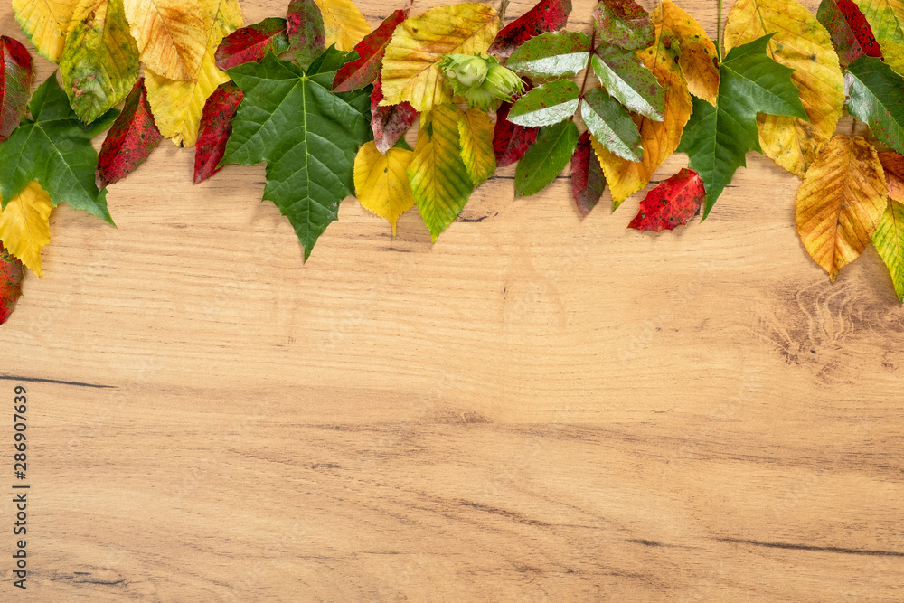 Obraz premium Autumn composition. Frame made of fall autumn leaves on wooden background. Flat lay, top view