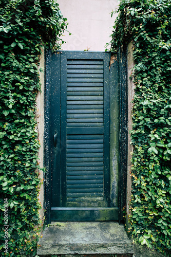 old door with ivy found in the historic new orleans garden district