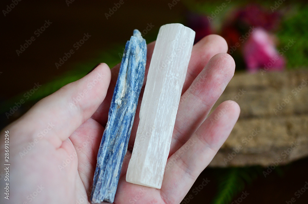 Εκτύπωση καμβά Blue Kyanite and Selenite being held in woman's hand