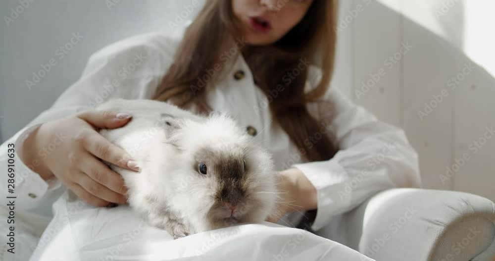 Beautiful caucasian girl sitting in armchair with white bunny on her knees. RAW Graded footage 4K slow motion 50fps Beautiful caucasian girl sitting in armchair with white bunny on her knees. RAW Graded footage 4K slow motion 50fps