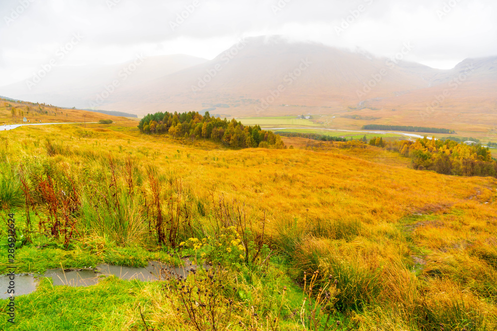 Autumn and fog in the Scottish Highlands 