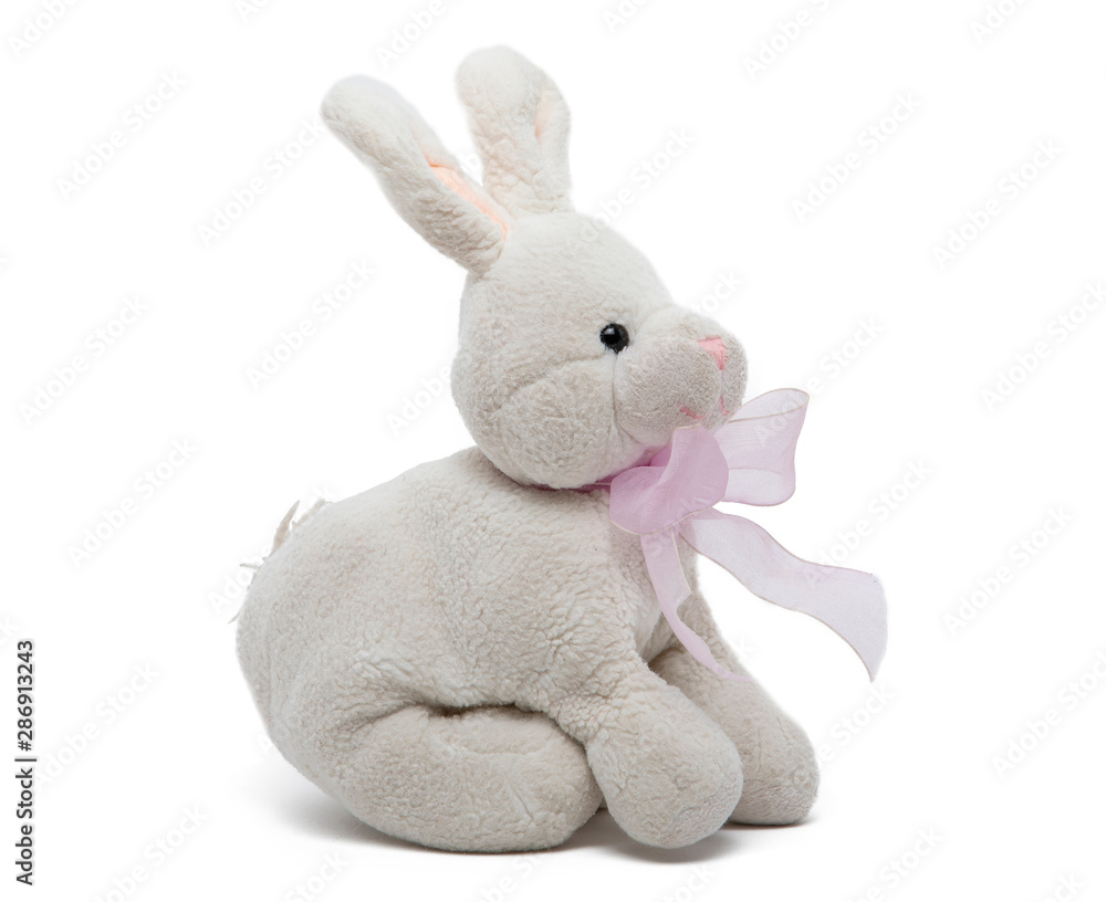 Teddy rabbit Teddy rabbit