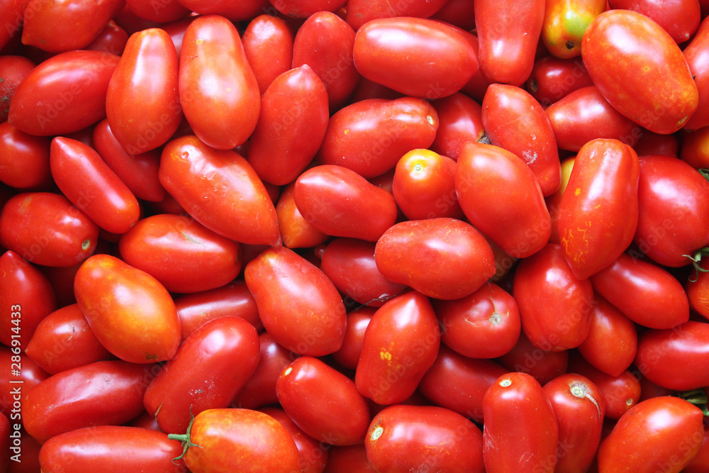 Tomatoes ready for distribution in stores, Italy Tomatoes ready for distribution in stores, Italy