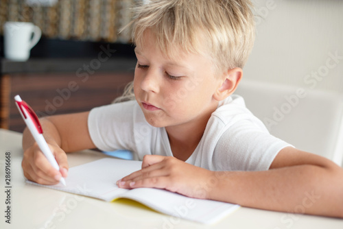 lifestyle portrait of a boy doing homework. back to school concept. 