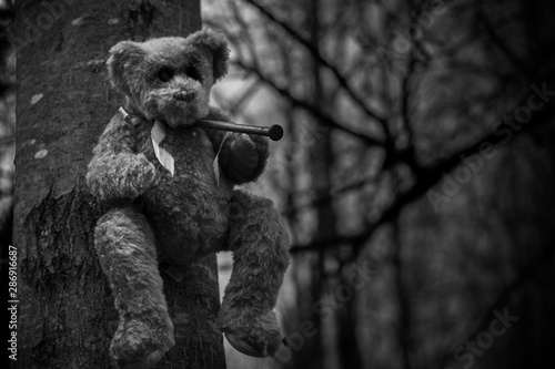 Teddy bear nailed to a tree