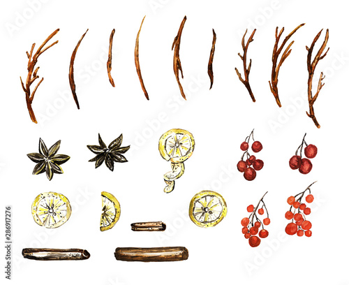 watercolor spice set