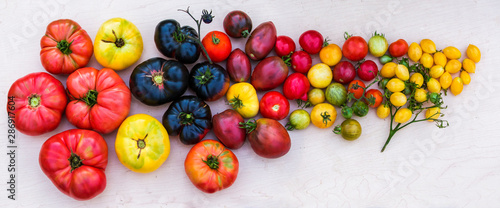 Colorful organic heirloom tomatoes