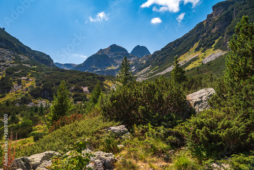 Amazing Summer landscape of Malyovitsa peak, Rila Mountain, Bulgaria © Petar