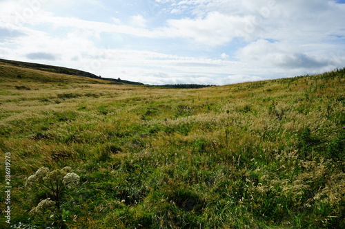 Fields in summer day