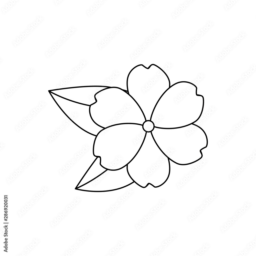 beautiful flower with leafs garden decorative icon