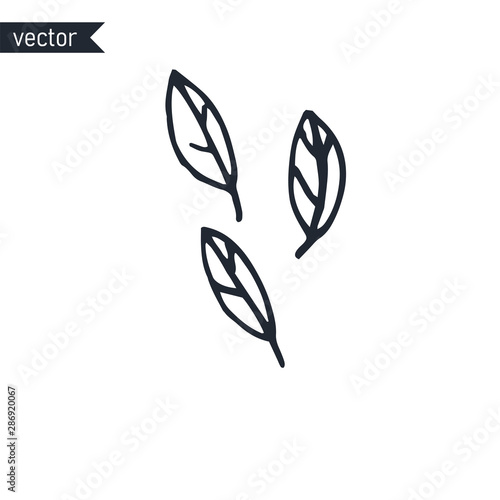 Three simple leaf outlines hand drawn isolated on white background, vector illustration.