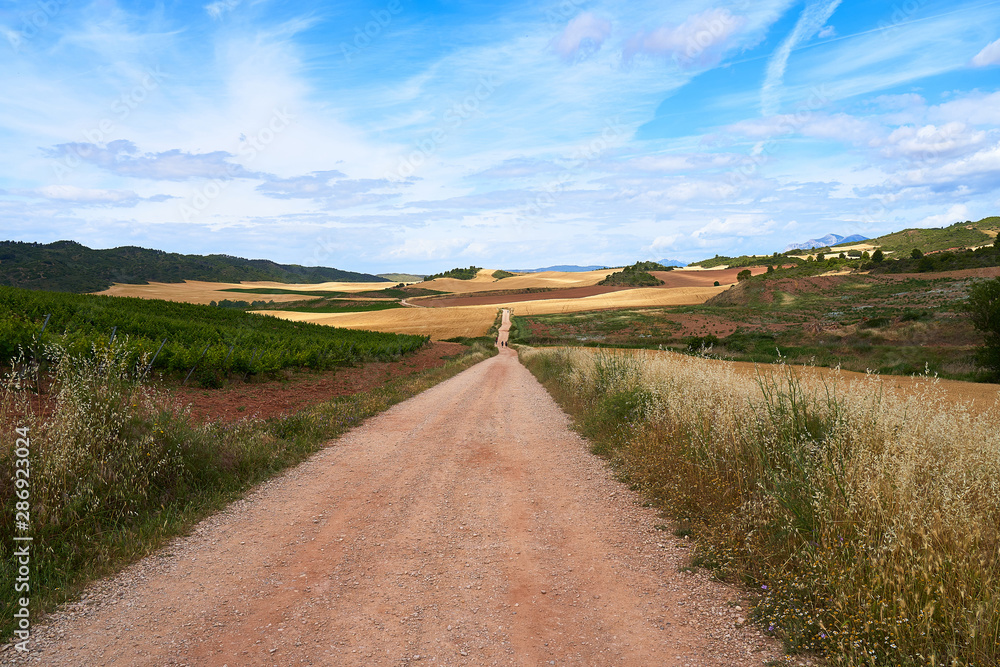 Following the way of Santiago in Spain, path toward the future. Destiny concept Following the way of Santiago in Spain, path toward the future. Destiny concept