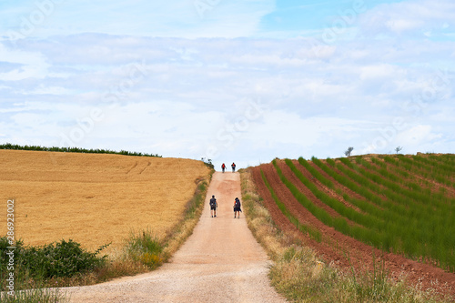Pilgrims walking the Camino de Santiago in Spain, immersed in a peaceful natural background on a beautiful summer day    