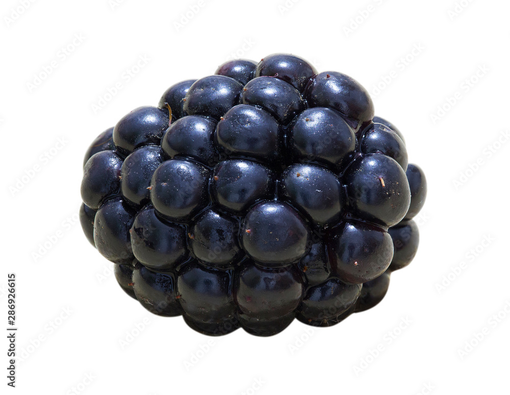 Blackberries on a macro scale. The photo was taken by stacking method Blackberries on a macro scale. The photo was taken by stacking method