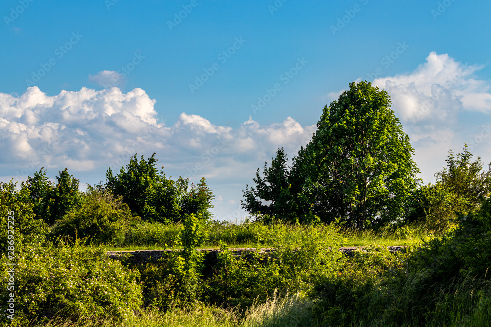 green surroundings of Krakow, Poland green surroundings of Krakow, Poland