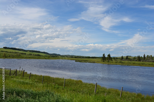 Relaxing Pond on Grassy Farmland in Rural Countryside