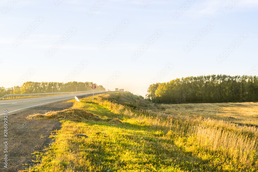 Empty autumn road in golden wheat field