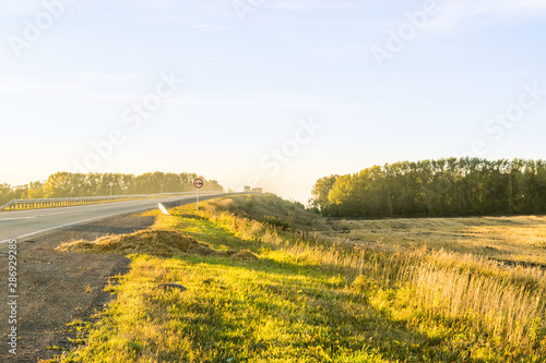 Obraz na płótnie Empty autumn road in golden wheat field w salonie