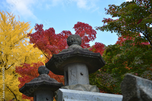 Japanese Stone Lanterns with Colourful Maple Trees