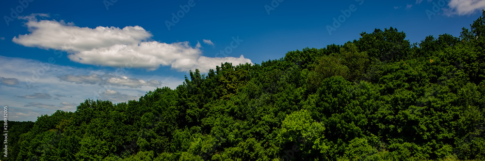 White Clouds in the Blue Sky and Deciduous Forest on the Hill, Sunny Day in the Countryside.