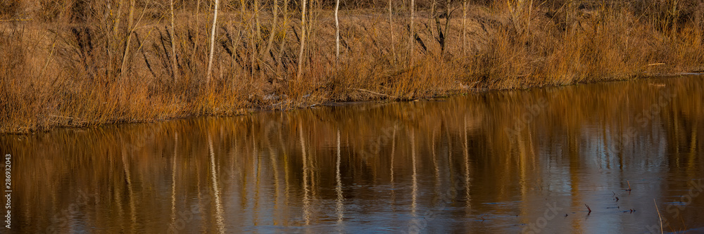 Deciduous Forest, Water and Ice on the River Bank.