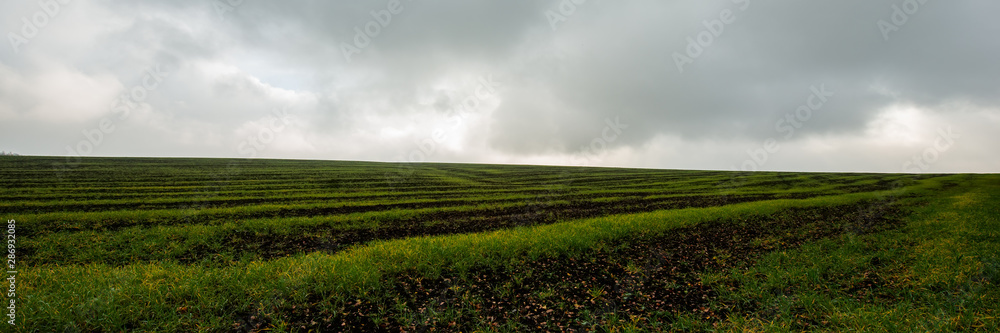 Cloudy sky and field with green grass. Autumn Season, October.