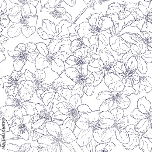 Hand drawn seamless pattern background line cherry blossom © DafnaDar