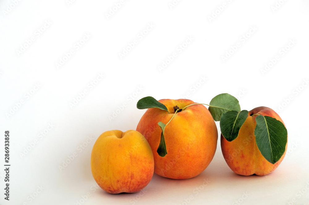 Red-yellow peach fruits on a white background. Summer background. Red-yellow peach fruits on a white background. Summer background.