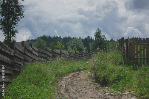  Carpathian landscapes. Meadows  hills  forests and mountains of the Carpathians.