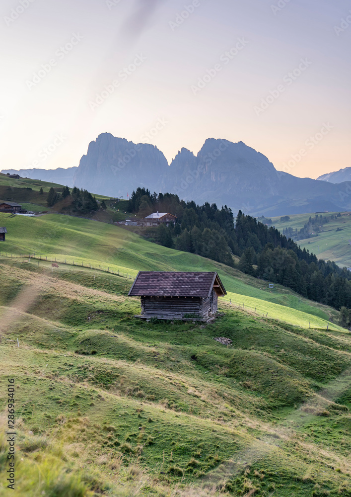 beautiful green meadow  of the seiser alm with a view on the mountains plattkofel and langkofel from the dolomites in south tyrol