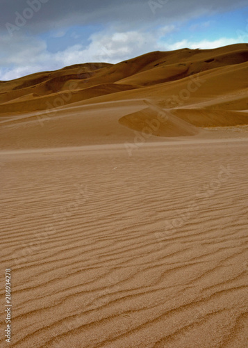 Ripples At Grand Sand Dunes National Park