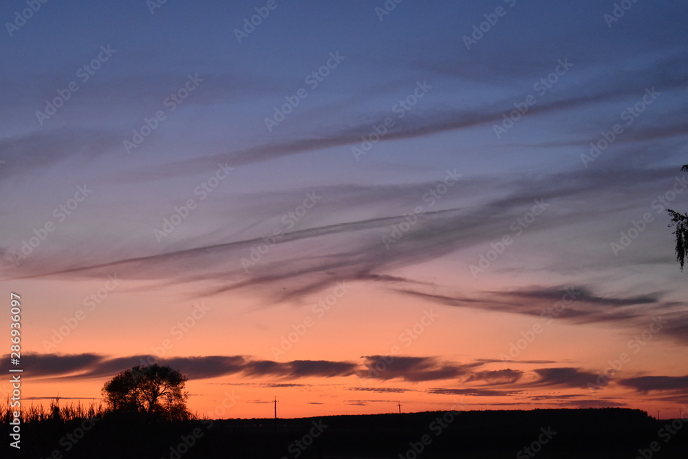 Fototapeta premium beautiful and bright sunset