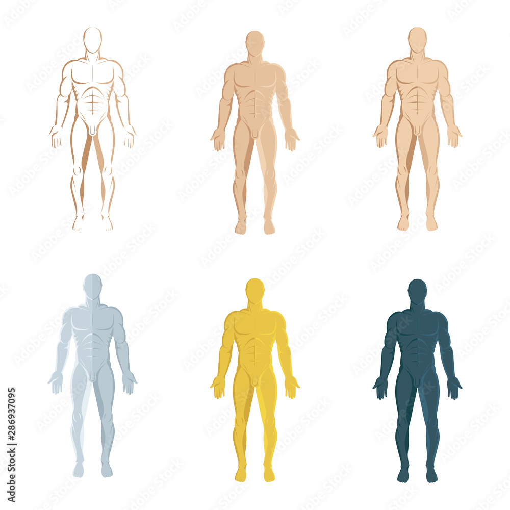 Male body. Hand drawn male body set. Men body front view isolated vector  illustration. Male naked full length figure sketch drawing. Part of set.  Stock Vector | Adobe Stock