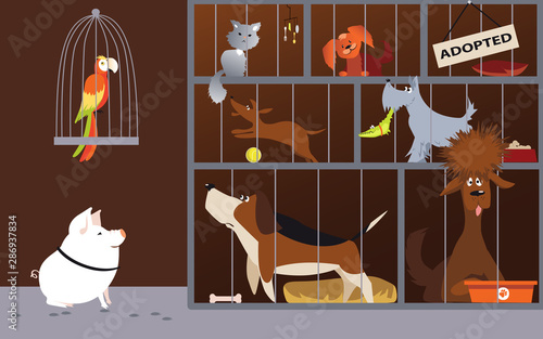 Animal shelter interior with pets waiting for adoption, EPS 8 vector illustration